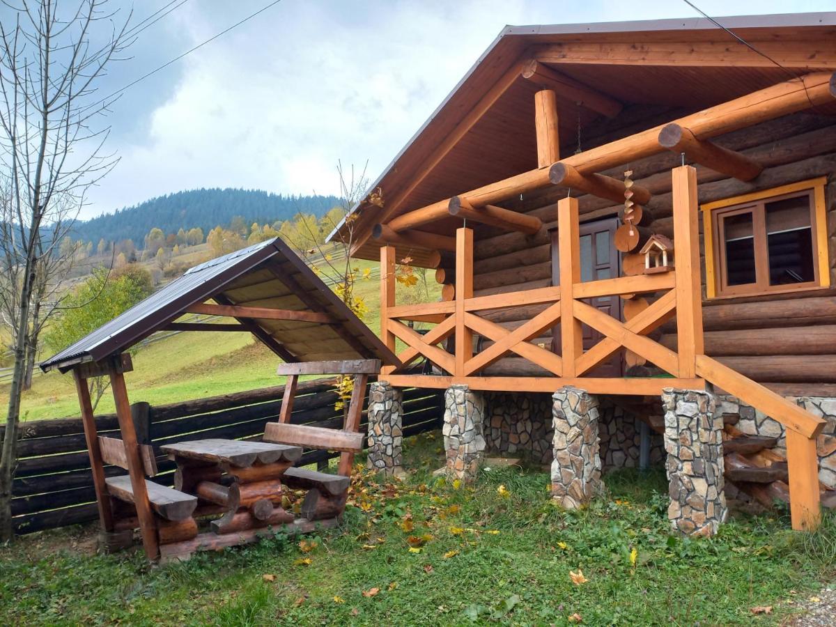 Apartment маєток у ґазди Synevyrs'ka Polyana